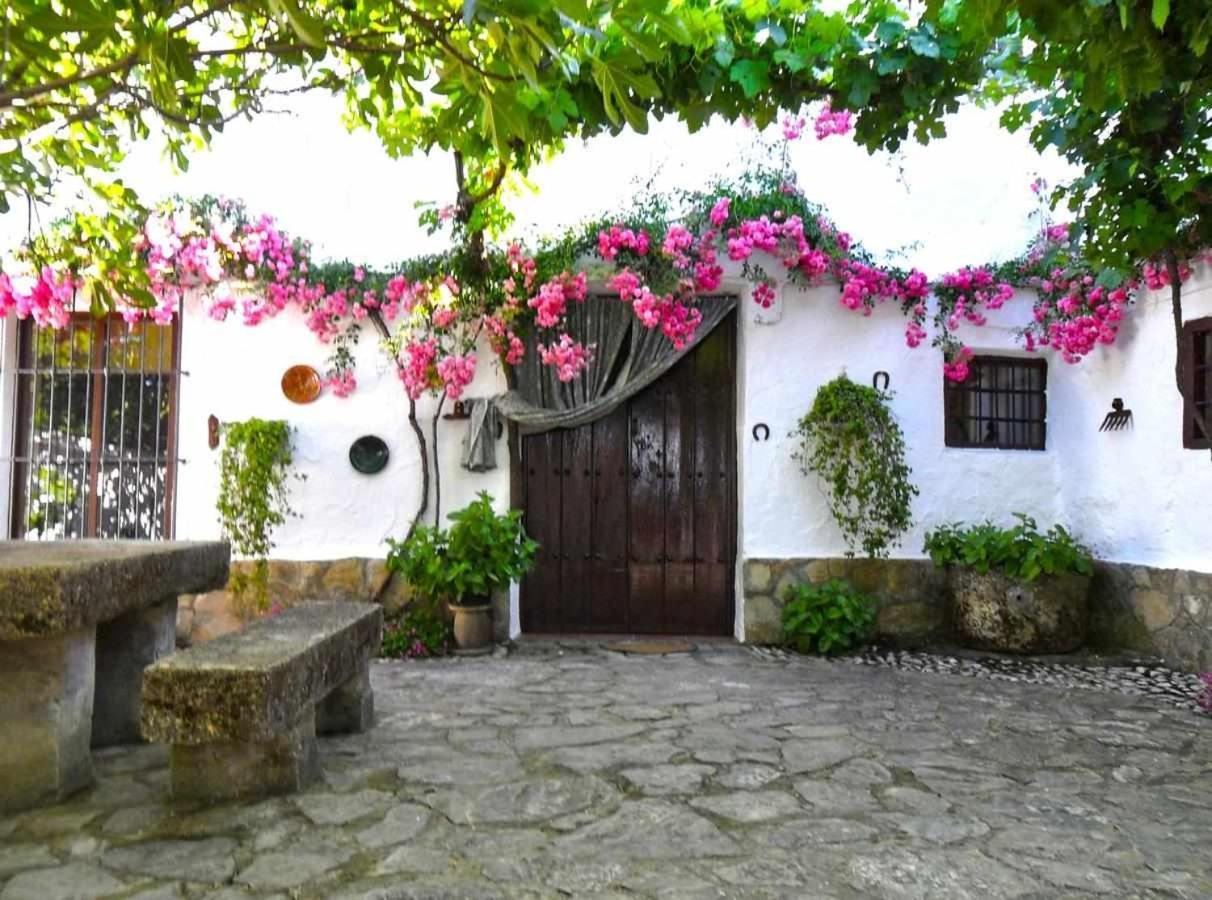 Cortijo La Gineta ξενώνας Alcala La Real Εξωτερικό φωτογραφία