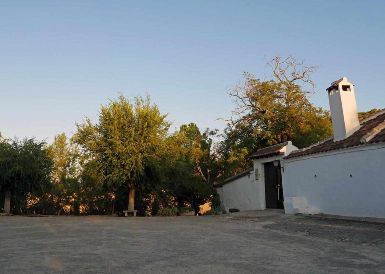Cortijo La Gineta ξενώνας Alcala La Real Εξωτερικό φωτογραφία